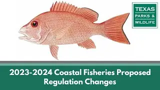 Public Hearing | Proposed Statewide Saltwater Fishing Regulation Changes 2023-2024