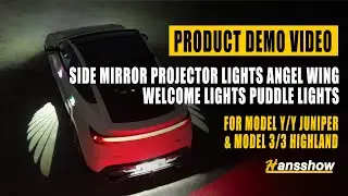 New Side Mirror Projector Lights Angel Wing Welcome Lights Puddle Lights for Tesla