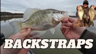 SLAB SZN EP.2 - HUNT FOR A 3 POUNDER! 