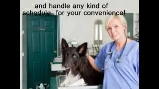 Emergency Vet Cleveland 24 Hour Pet Clinic - (216) 452-9107