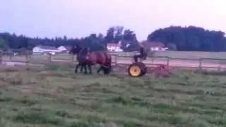 Grummet kreiseln mit Pferden