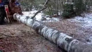 Landini blizzard 65 skidding wood