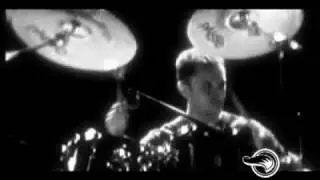 The Musical Fox- Land of confusion