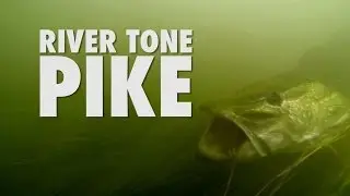 River Tone, PIKE FISH ON ! Underwater River Fishing Footage