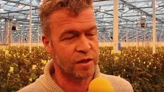 TelstarTV - 334