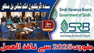 electricity price decrease in pakistan from march 2025 | big relief for consumers | ARZ NEWS DIGITAL