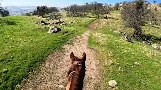River's last conditioning ride before her endurance comeback at Fire Mt. this coming weekend.
