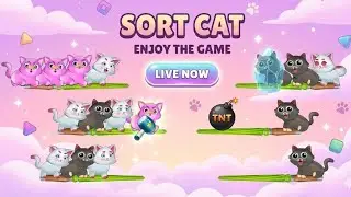 LIVE SORT CAT 9