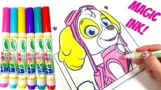 Paw Patrol Skye Crayola Color Wonder Magic