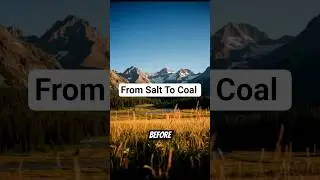 From Salt To Coal #appalachia #mountainlife