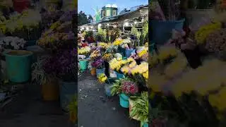 Exploring Vietnam - Market in Tra Vinh