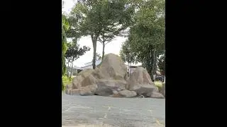 AR Basarios disguised as a Large Rock #monsterhunter