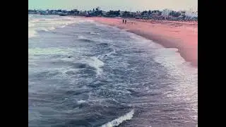 Google Pixel 8 Cinematic Video - Open Gate 24fps | Blackmagic Camera