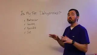 Is My Pet Dehydrated?