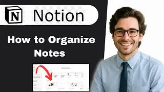 Вот как организовать ваши заметки Notion (полное руководство)