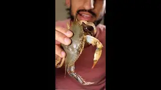 How to Cook Soft Shell Crab (Recipe Compilation)