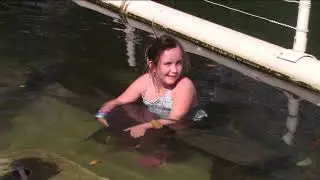 Sophia tames the sharks