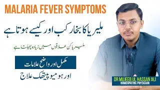 Malaria Fever Symptoms And Treatment | Malaria Fever symptoms and treatment in urdu By Dr Mujeeb