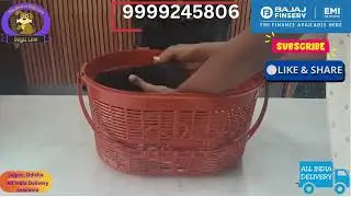 Black Labrador puppy available at Dogiz Line - The Exotic Pet shop in Jajpur || New arrival