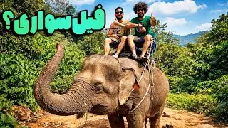 فیل‌سواری در تایلند | هیجان‌انگیزترین تجربه‌ای که انتظارش رو نداشتم