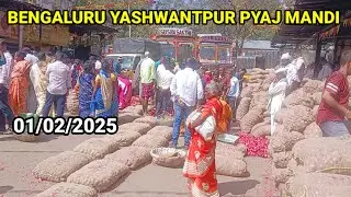 1 फरवरी 2025 को बेंगलुरु मंडी में क्या भाव बिका है प्याज #onion #kanda #iroli #pyaj #bengai #mandi