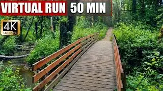 Treadmill Meets Forest Magic — Tryon Creek Trail 4K Virtual Run!