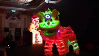 LED LION DANCE, Macau