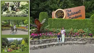 🌸 Exploring The Butchart Gardens: A Floral Paradise in Victoria!