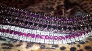 Hand made crystal browbands by Pony Couture