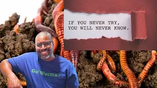 Why You NEED To Start ADDING WORM CHOW To Your Worm Bin (10 BENEFITS)