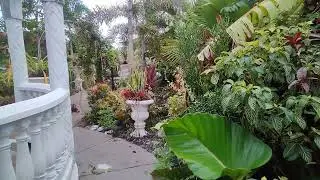 🌿A rainy Day Garden Tour🌱Weekly videos.