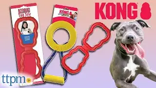 Kong Tug Toy and Jaxx Brights Tug with Ring Dog Toys Review!