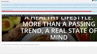 WP Optimiser Review Demo