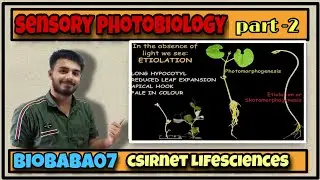 Sensory Photobiology part-2 #csirnet #lifesciences #gate #icmr