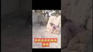 village dog prank #youtubeshorts #viralshorts #trendingshort #comedyshorts #foryoupage