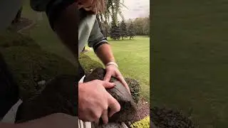 ASMR Giving Trees and Rocks a massage #asmr