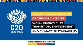 Webinar Socialisation of the Policy Brief &ndash; WG14 Energy Just Transition, Environment and Climate Sus