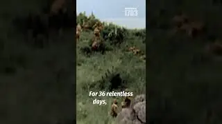 Iwo Jima: The Fiercest Battle of World War 2