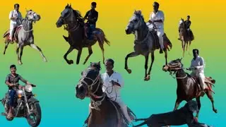 Kaku 🐎or bullet ki rase yograj ne ki sawari Baaz 🦅 par sath me shayam 🐎Riding 🐎 kale dog ki Masti 😃
