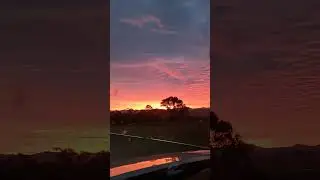 Wow! Golden Road to the Sunset 😯😍#youtubeshorts #australia #travel