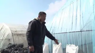 Минеральные удобрения подорожали вдвое / 29.03.22 / НТС