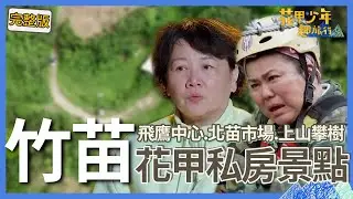 〈2024 竹苗景點〉竹苗驚嚇之旅！林美秀挑戰山林滑索嚇到靈魂出竅！影后王琄落水求救「呼吸困難」嚇壞眾人！【#花甲少年趣旅行】🚐景點精選