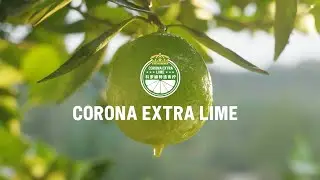 Corona - Corona Extra Lime (case study)