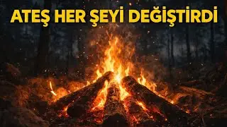 Ateş Her Şeyi Nasıl Değiştirdi? (Uyku Belgeseli) 