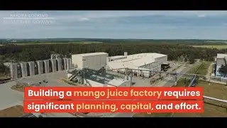 Mango Juice Making Factory | Maaza Mango Juice Factory #hardinicooking
