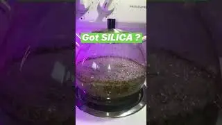 Got Silica?