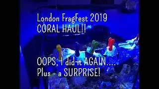 Reefgrrl&rsquo;s CORAL SHOW HAUL! Polyplab Reef Primer! Tip of the Day! And a special SURPRISE! 😲