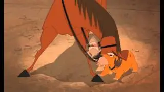 Rico's Saddle - Home on the Range