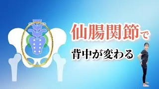 背中の変化に骨盤が重要な理由。 実は“ゆるいお腹”と仙腸関節にあるから