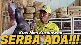 CARI HARTA KARUN DI KIOS MERPATI MAS KURNIAWAN!!! ISI NYA BAGUS SEMUA